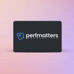 Perfmatters – Lightweight WordPress Performance Plugin